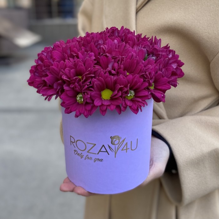 Фиолетовые кустовые хризантемы в коробке
