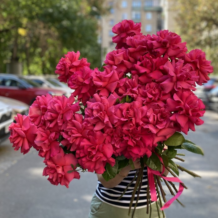 Французская роза Пинк Флойд