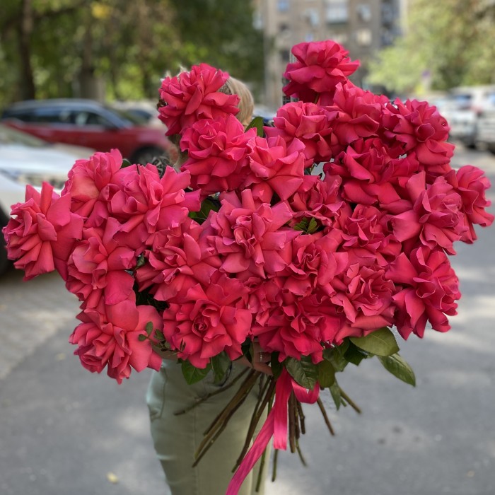 Французская роза Пинк Флойд