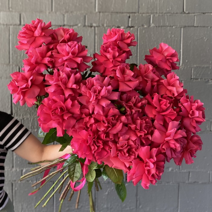 Французская роза Пинк Флойд