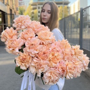 Французская абрикосовая роза Принцес Краун