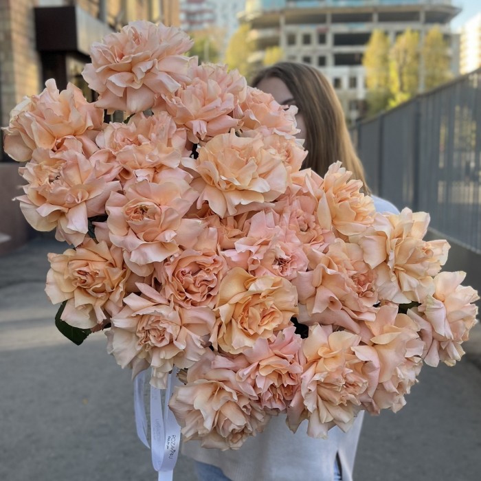 Французская абрикосовая роза Принцес Краун