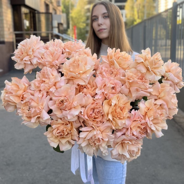 Французская абрикосовая роза Принцес Краун