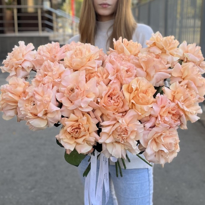 Французская абрикосовая роза Принцес Краун