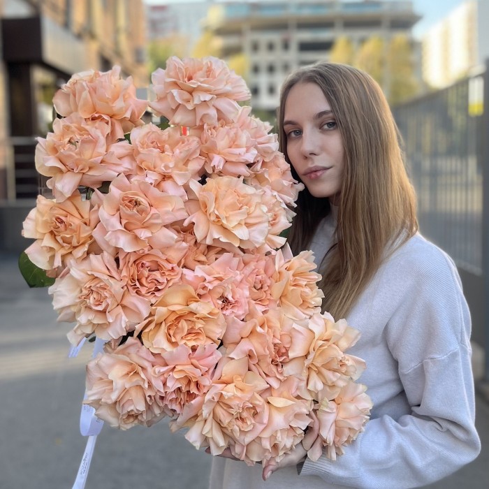 Французская абрикосовая роза Принцес Краун