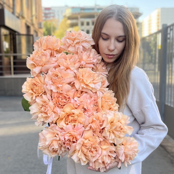 Французская абрикосовая роза Принцес Краун