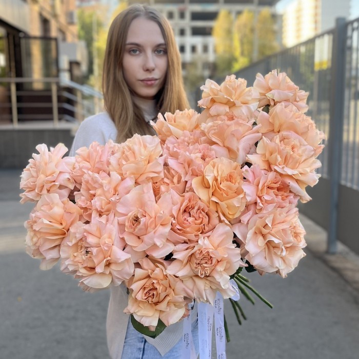 Французская абрикосовая роза Принцес Краун