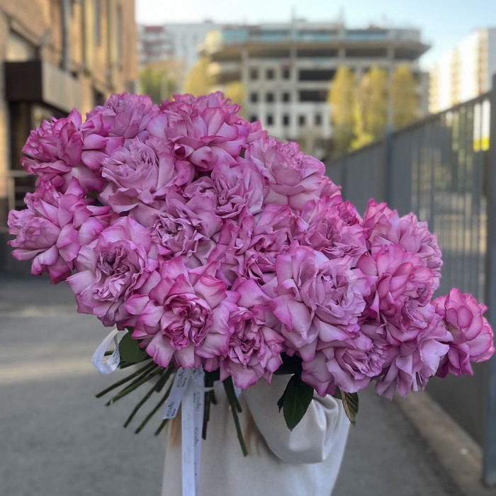 Французская роза сиреневая Куинс Краун