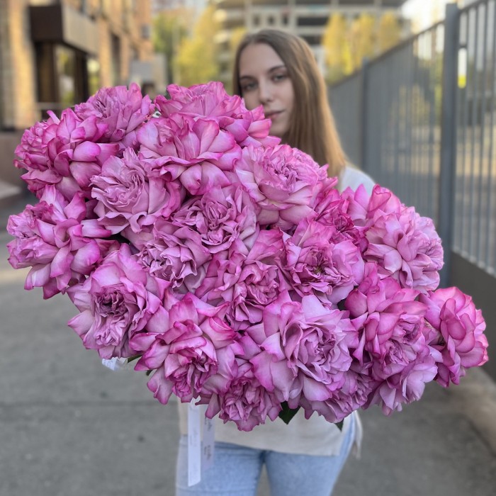 Французская роза сиреневая Куинс Краун