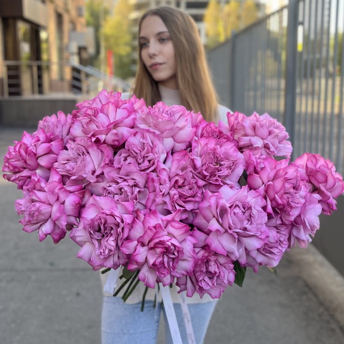 Французская роза сиреневая Куинс Краун