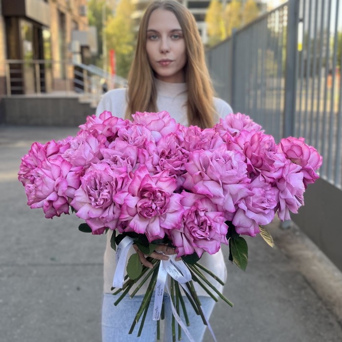 Французская роза сиреневая Куинс Краун