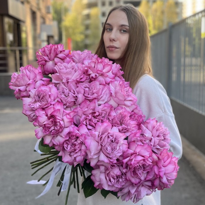 Французская роза сиреневая Куинс Краун