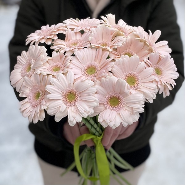 Гербера нежно-розовая