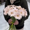 Гербера мини нежно-розовая
