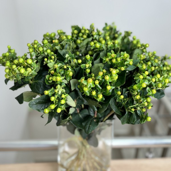 Гиперикум зеленый