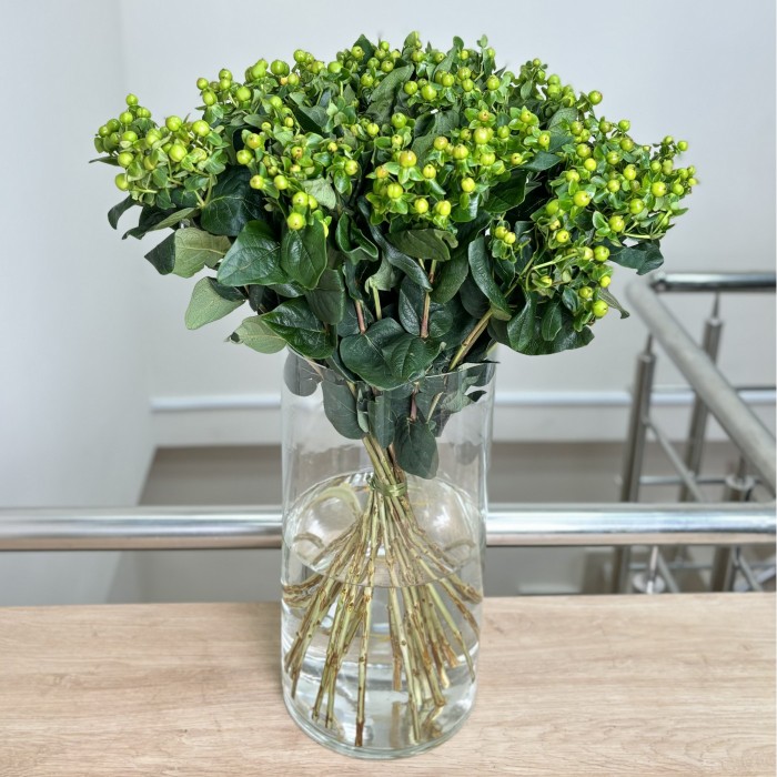 Гиперикум зеленый