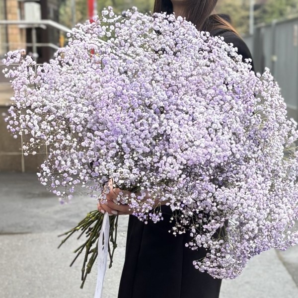 Гипсофила Лавандовая