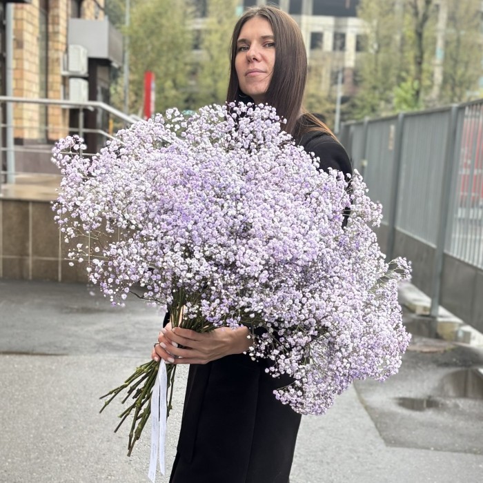 Гипсофила Лавандовая