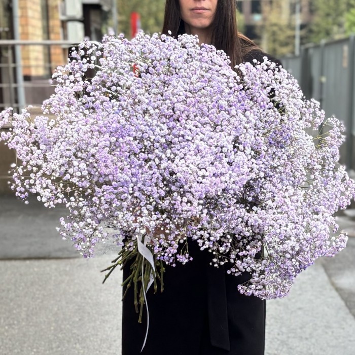 Гипсофила Лавандовая