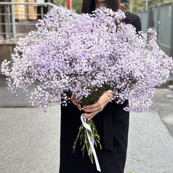 Гипсофила Лавандовая