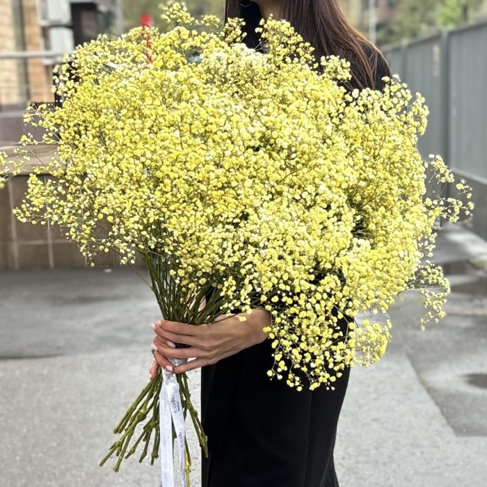 Гипсофила Желтая