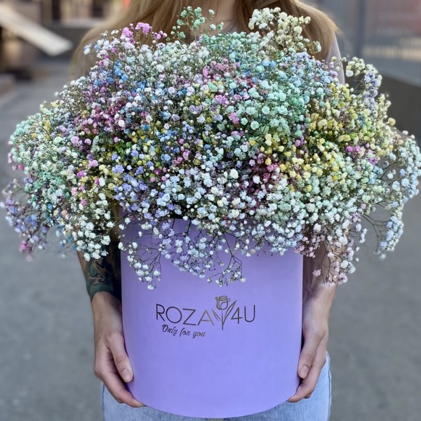 Гипсофила радужная в лиловой коробке