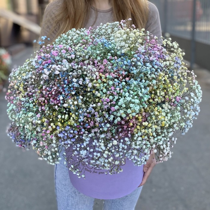 Гипсофила радужная в лиловой коробке