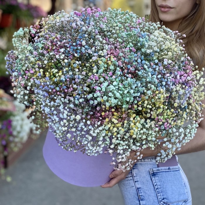 Гипсофила радужная в лиловой коробке