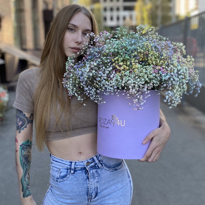 Гипсофила радужная в лиловой коробке