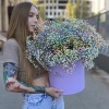 Гипсофила радужная в лиловой коробке