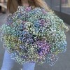 Гипсофила радужная в лиловой коробке