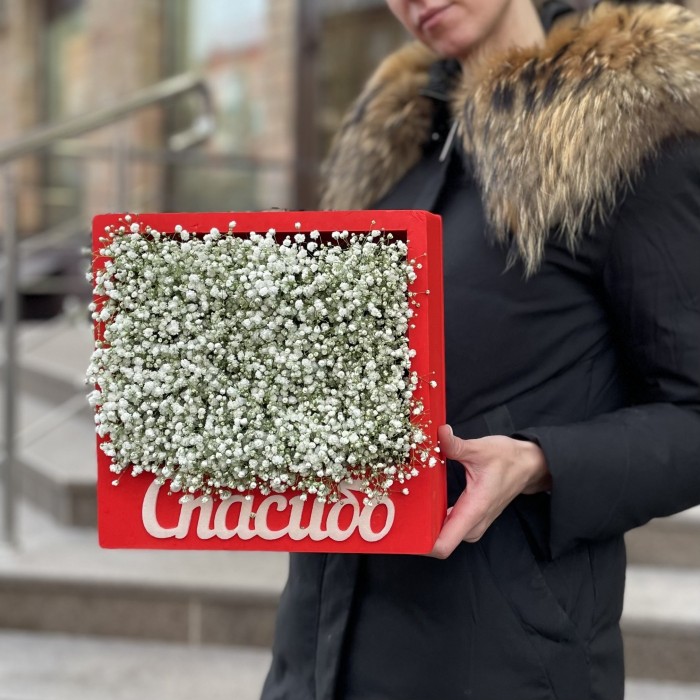 Гипсофила  в красной коробке Спасибо