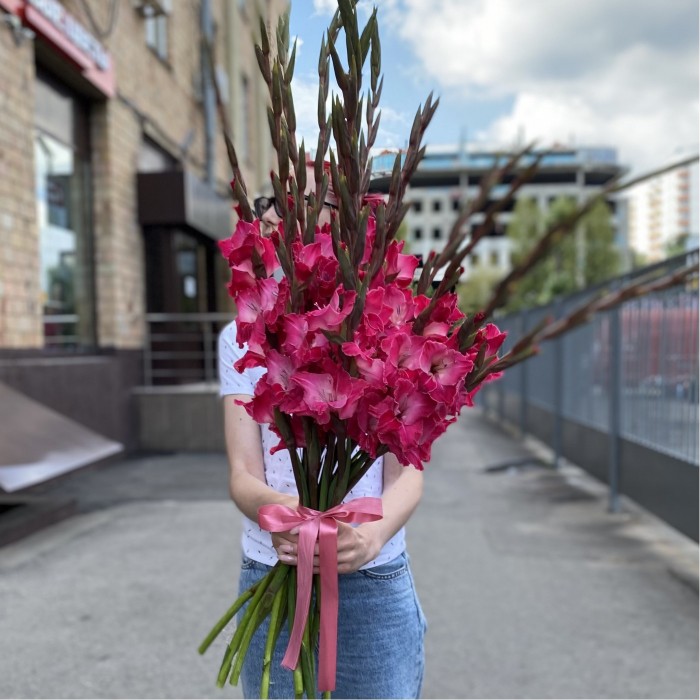 Гладиолус малиновый