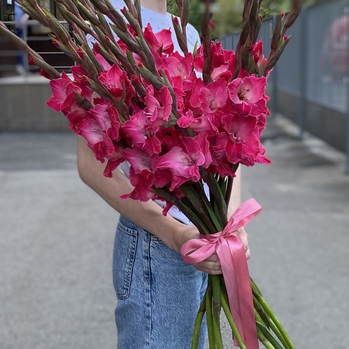 Гладиолус малиновый