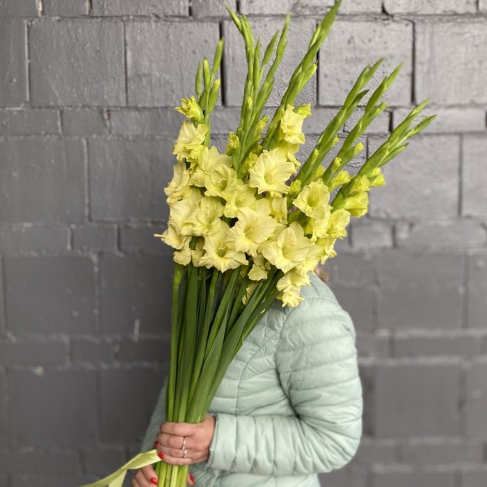 Гладиолус зеленый Рио