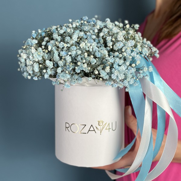 Голубая гипсофила в коробке