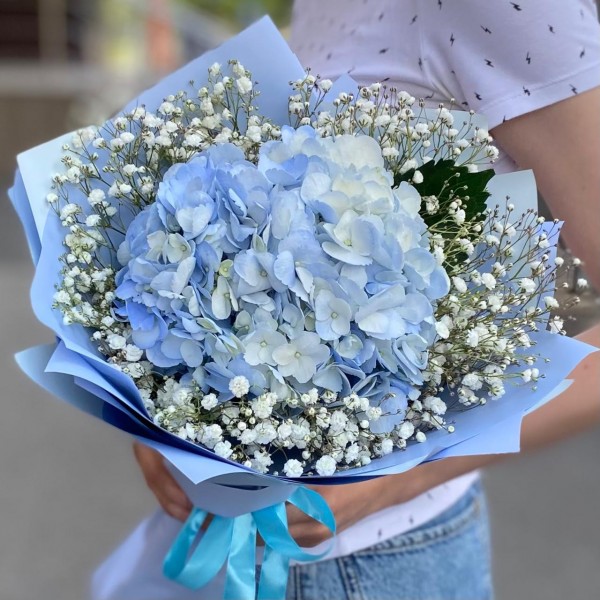 Голубая гортензия с гипсофилой