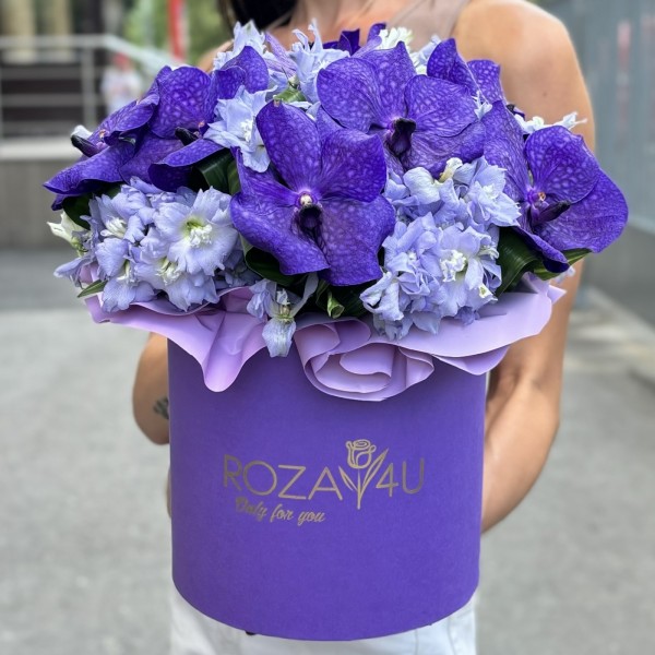 Голубая орхидея Ванда с дельфиниумом в коробке