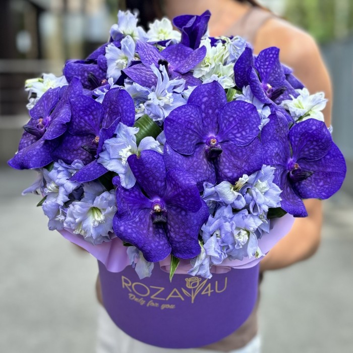 Голубая орхидея Ванда с дельфиниумом в коробке