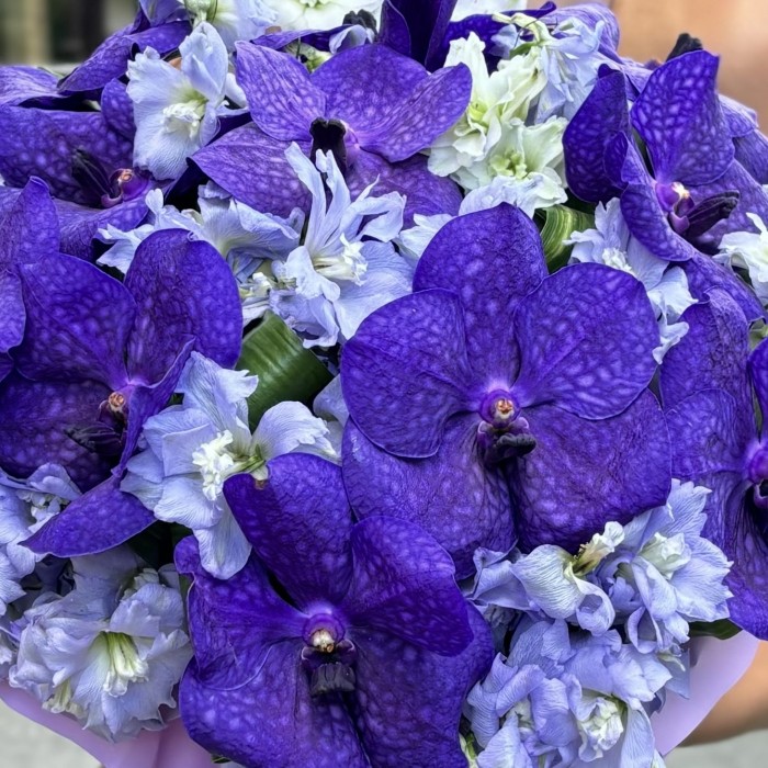 Голубая орхидея Ванда с дельфиниумом в коробке