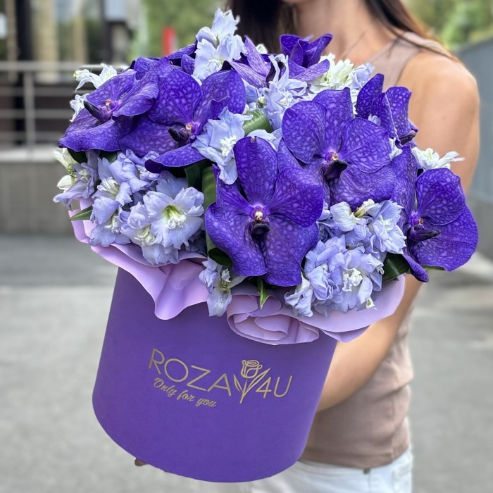 Голубая орхидея Ванда с дельфиниумом в коробке