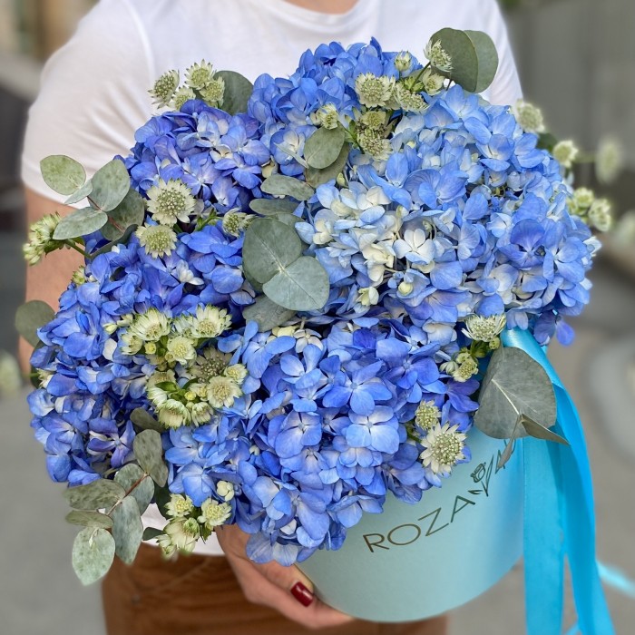 Гортензия Блю Шокинг с эвкалиптом в коробке