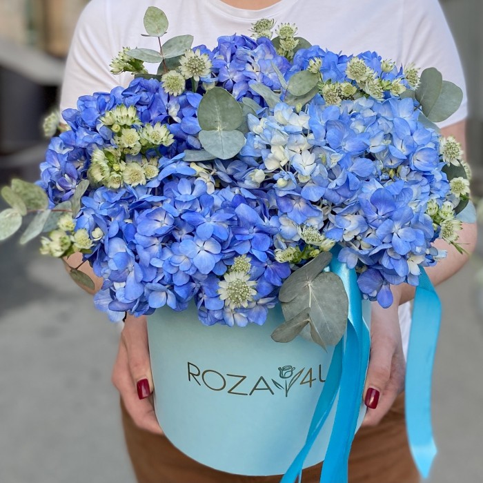 Гортензия Блю Шокинг с эвкалиптом в коробке
