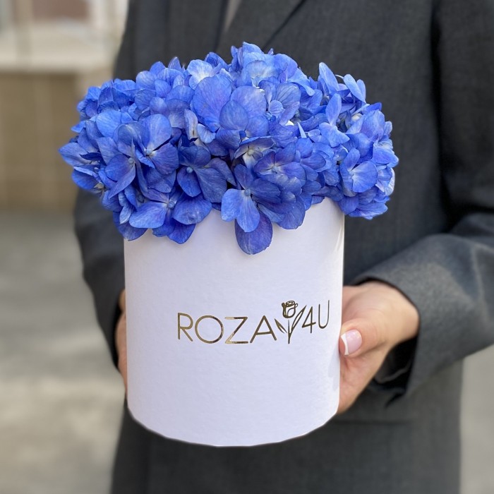 Гортензия Блю Шокинг в коробке