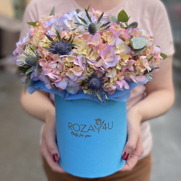 Гортензия Мейджикал Романс с эрингиумом в коробке