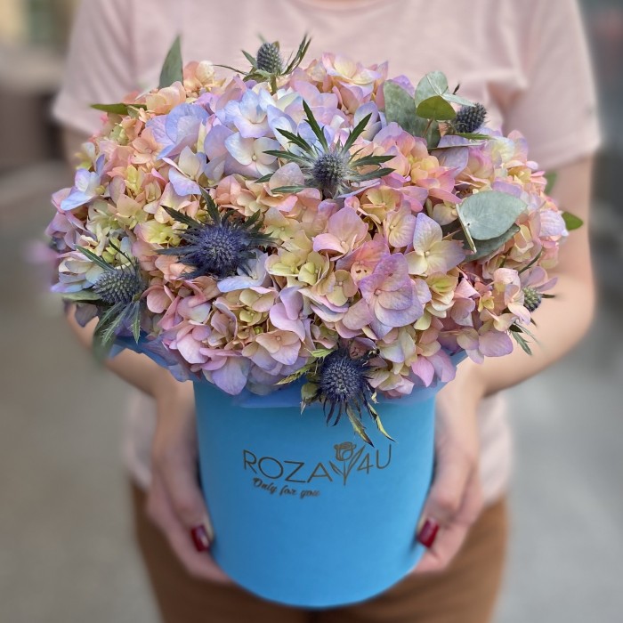 Гортензия Мейджикал Романс с эрингиумом в коробке