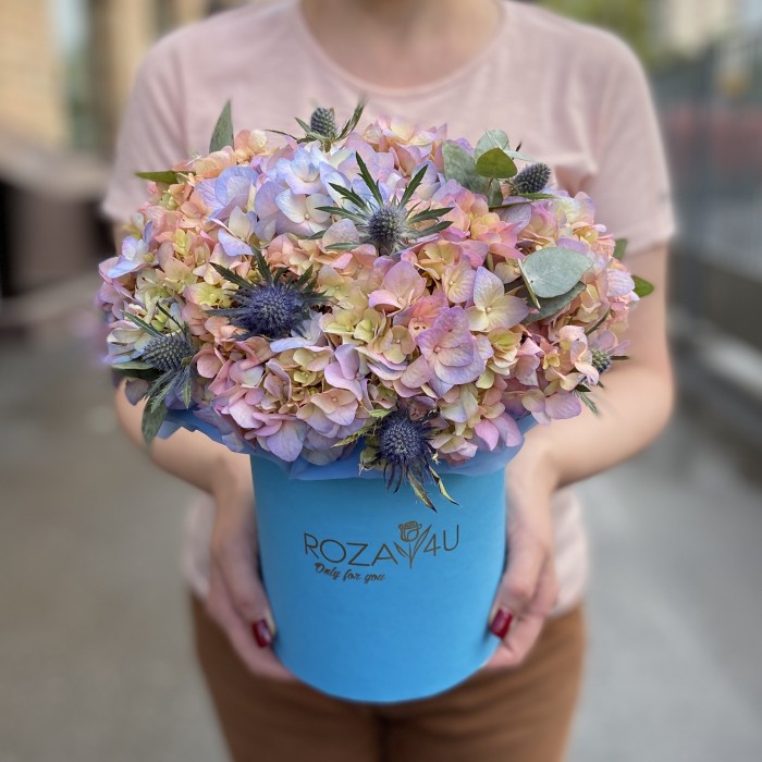 Гортензия Мейджикал Романс с эрингиумом в коробке