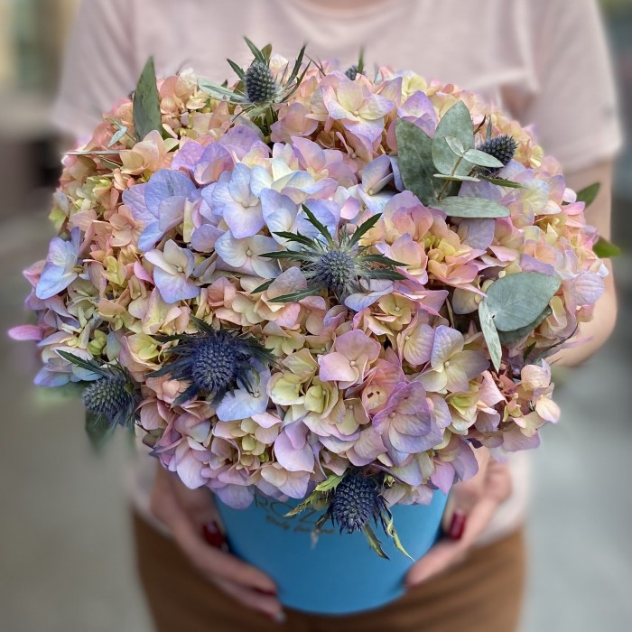 Гортензия Мейджикал Романс с эрингиумом в коробке