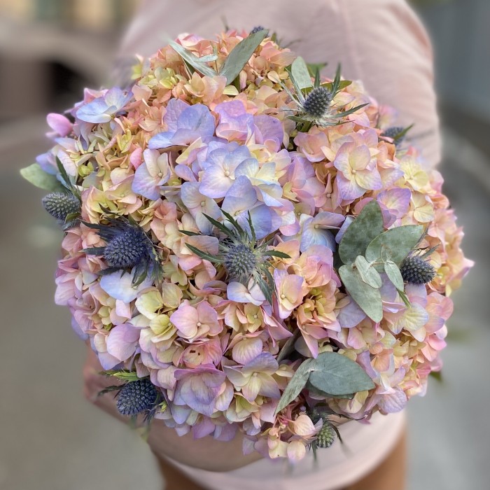 Гортензия Мейджикал Романс с эрингиумом в коробке