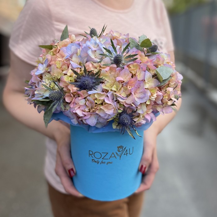 Гортензия Мейджикал Романс с эрингиумом в коробке